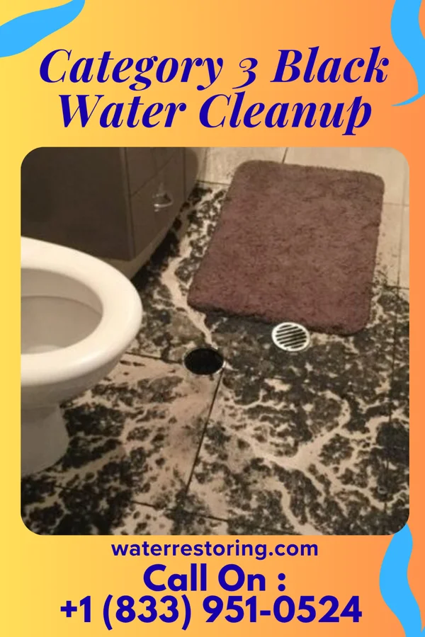 Category 3 Black Water Cleanup in Noblestown, PA