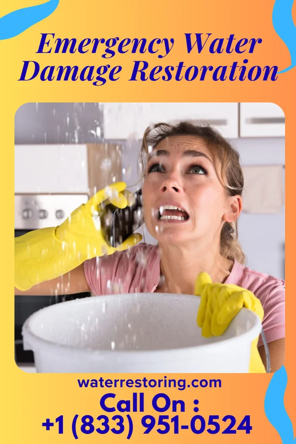 Emergency Water Damage Restoration in Noblestown, PA