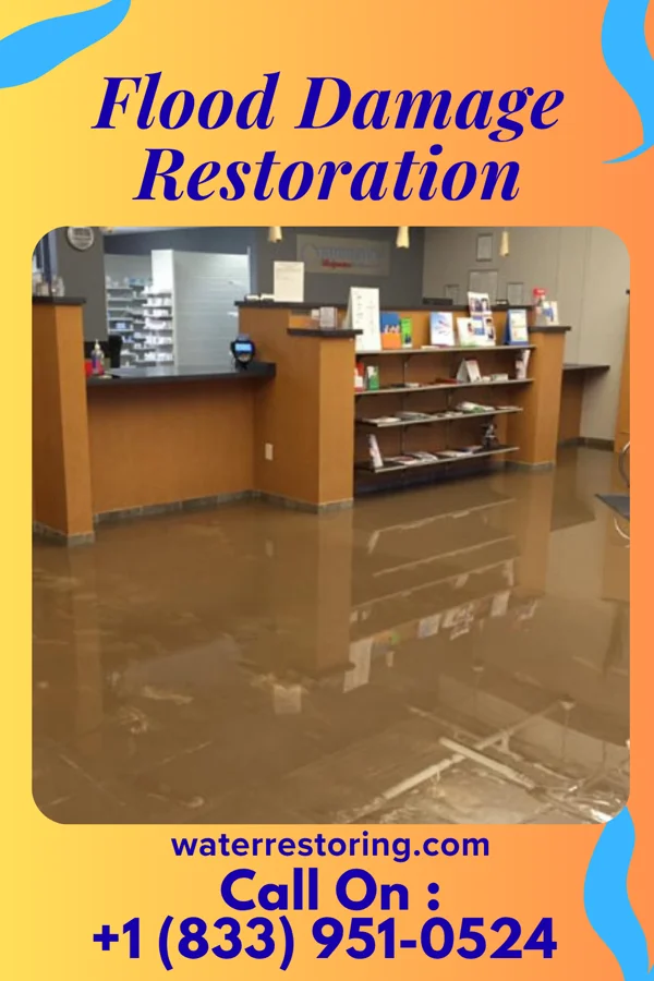 Flood Damage Restoration in Noblestown, PA