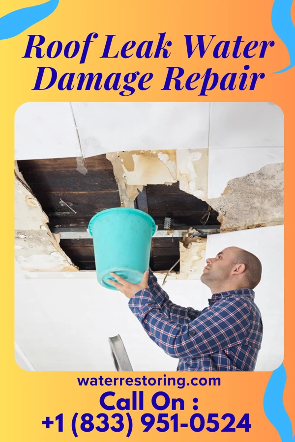 Roof Leak Water Damage Repair in Noblestown, PA