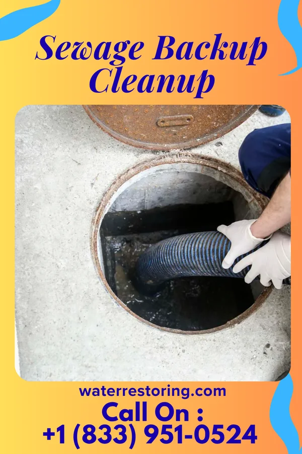 Sewage Backup Cleanup in Noblestown, PA