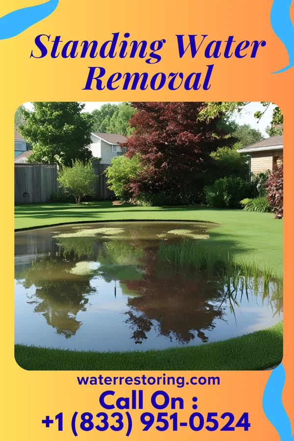 Standing Water Removal in Noblestown, PA
